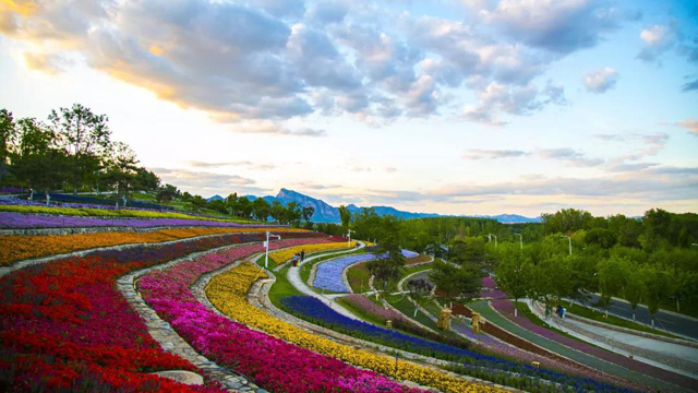 北京世园会的黄昏与夜幕 你怎么可以这么美