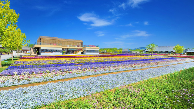 电瓶车新路线推出 串连更多世园美景
