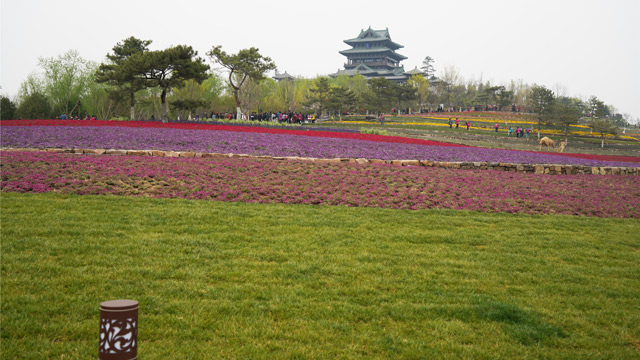北京世园会盛大开园，最全信息都在这里了