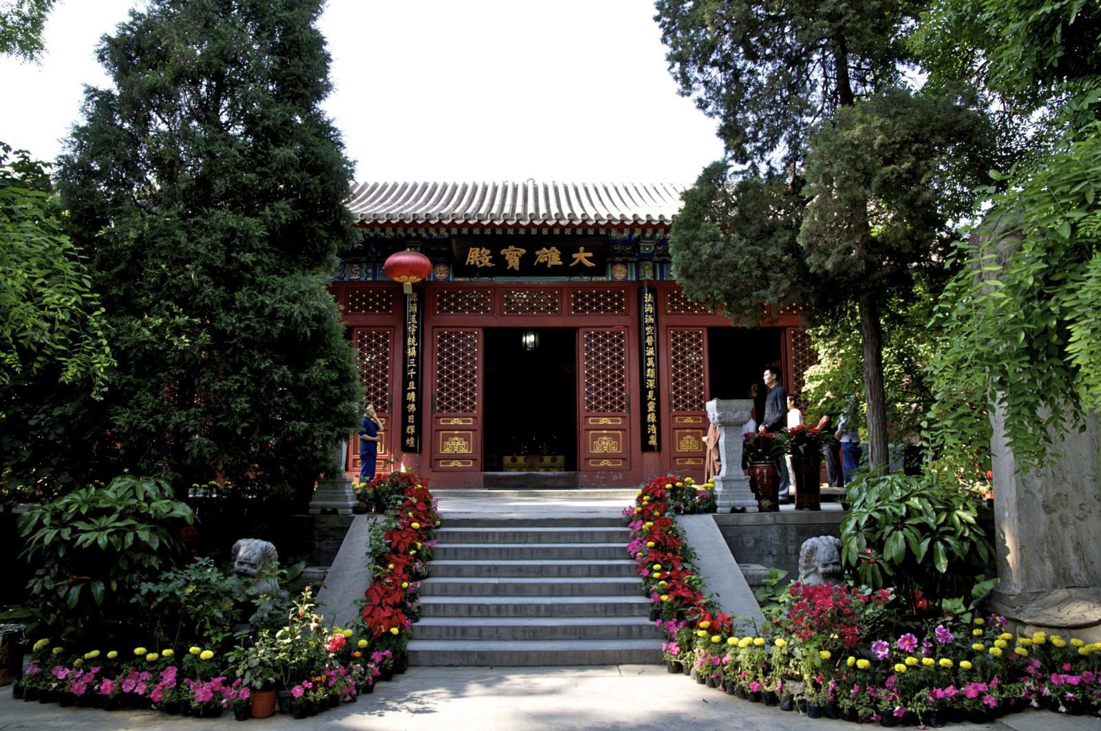 📍北京·法源寺 京城最古老的名刹，唐代为悯忠寺……