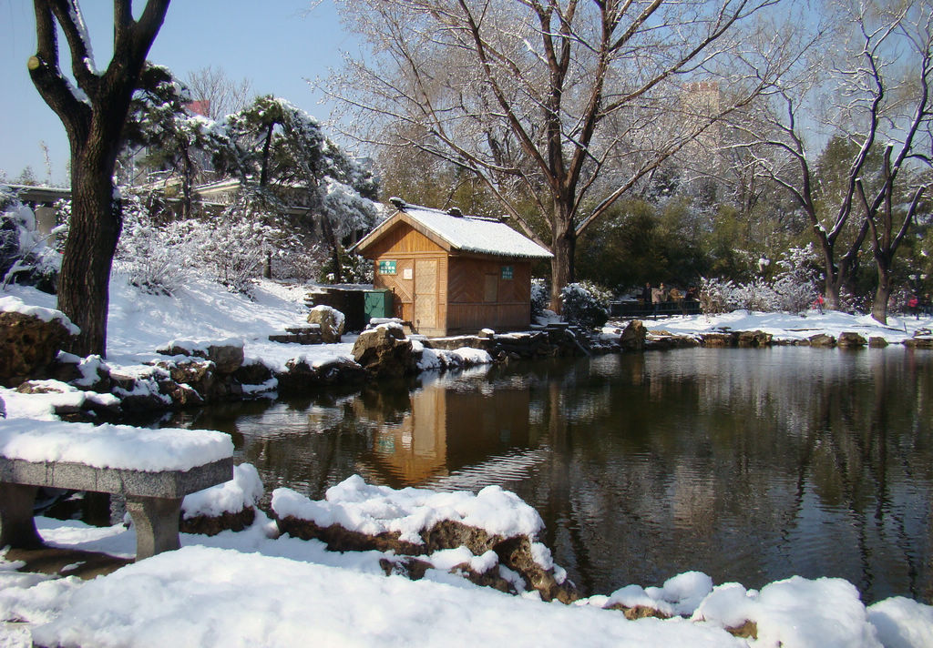 紫竹院赏春雪
