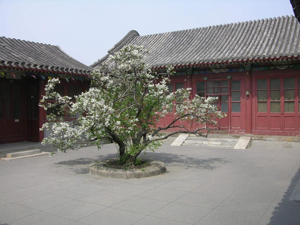 通州区博物馆