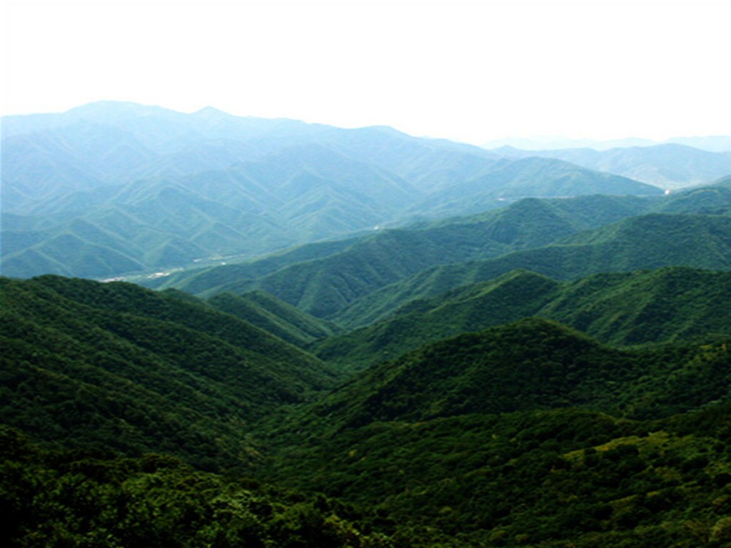 松山自然保护区