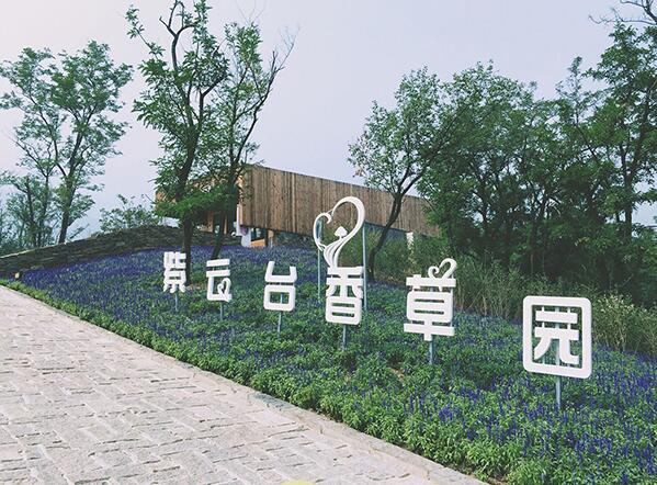 北京紫云台香草园