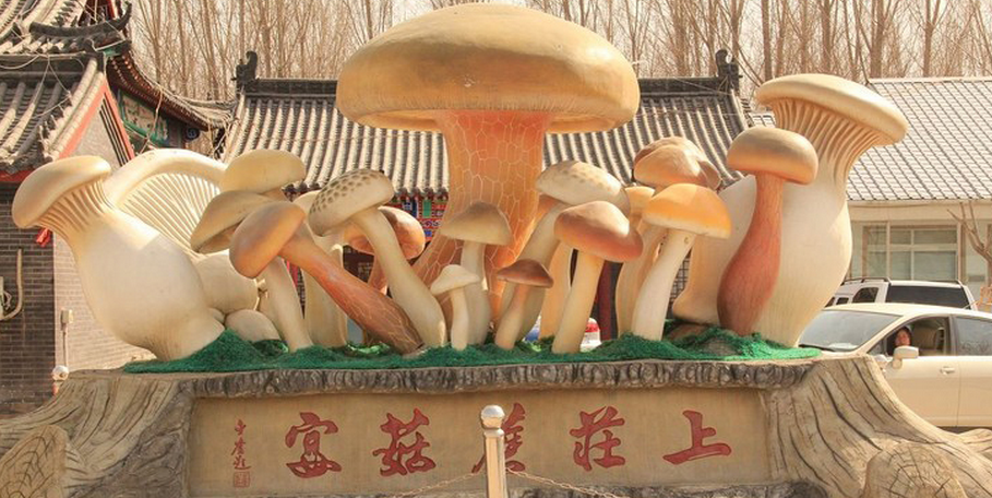 上庄蘑菇园