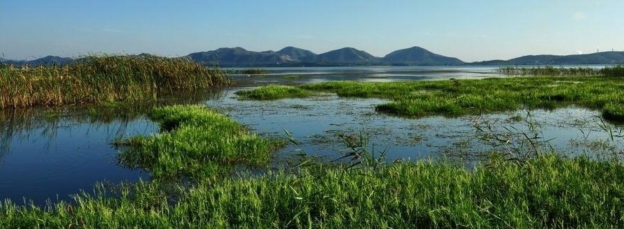 白庄子湿地公园