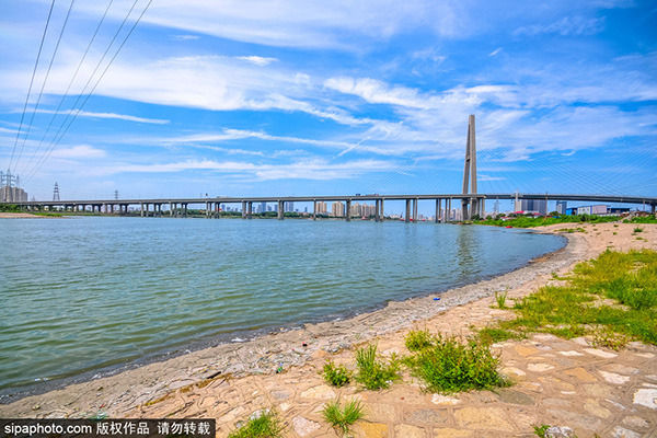 天津海滨高速海河大桥