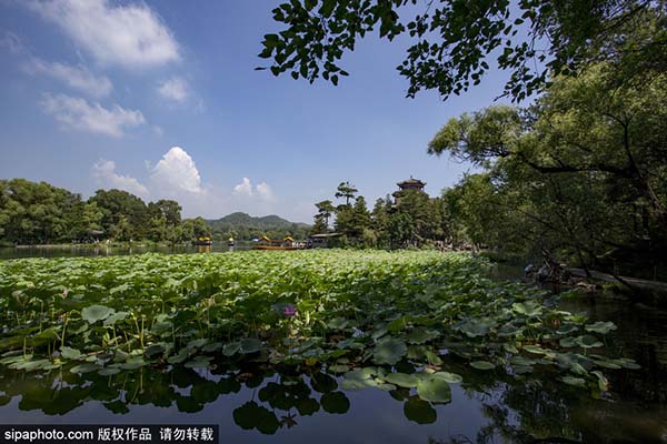 承德避暑山庄文园狮子林风光