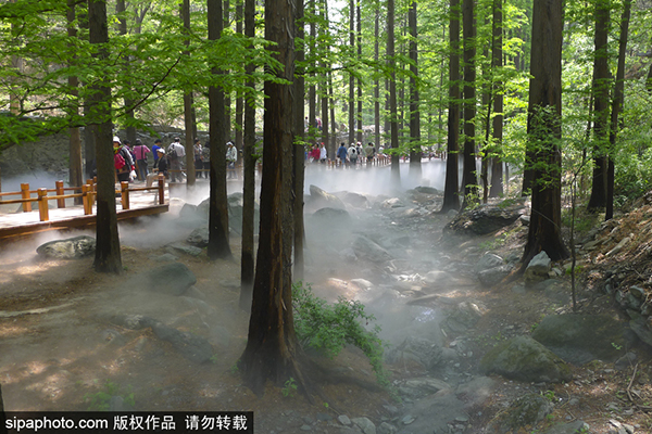 北京植物园樱桃沟水杉林喷雾景区