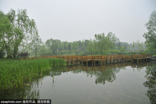 朝阳公园生态水溪景区