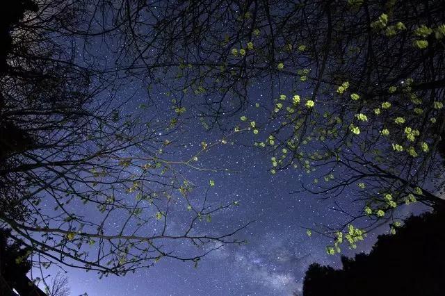 霞云岭 星空