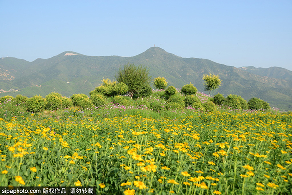 七孔桥花海园