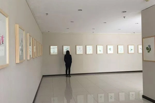 植物科学画展