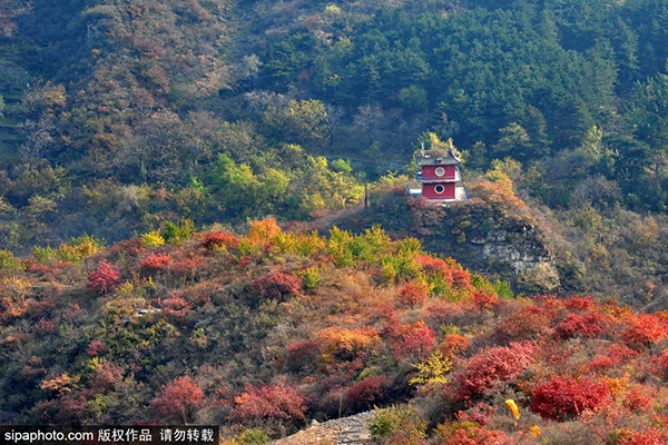 坡峰岭风景区秋景