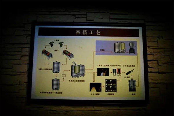 龙徽葡萄酒博物馆—香槟工艺厅