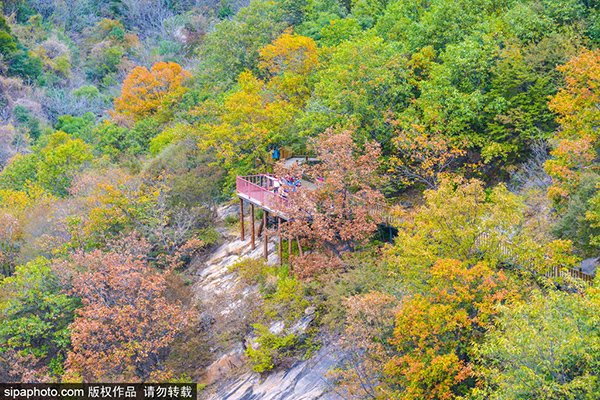 天津蓟县梨木台风景区秋色风光