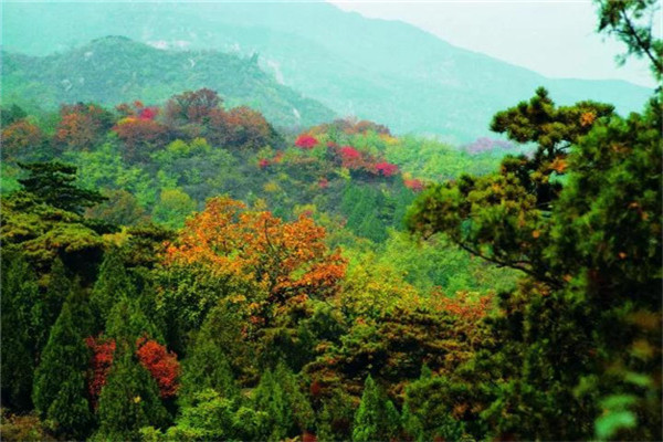 鹫峰红叶