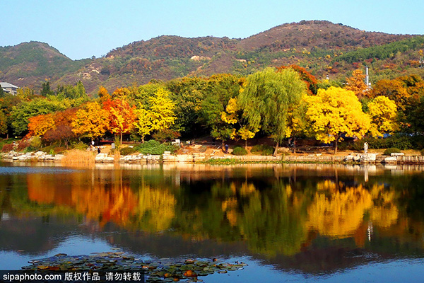 北京植物园秋景