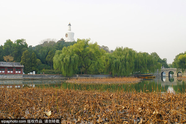 北海公园秋景