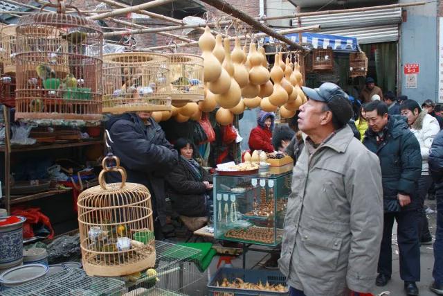 新官园花鸟鱼虫市场