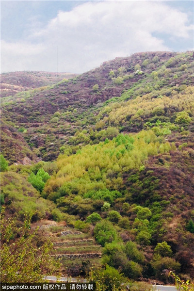 京郊世外桃源妙峰山