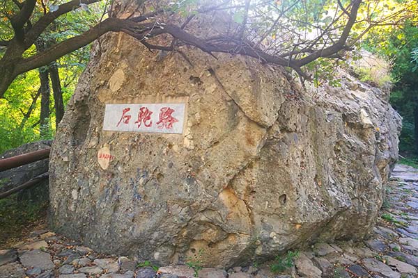 阳台山风景区