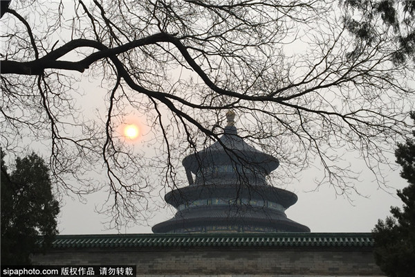 初春时节的天坛公园