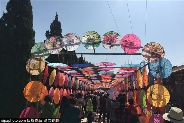 北京蟒山国家森林公园春景