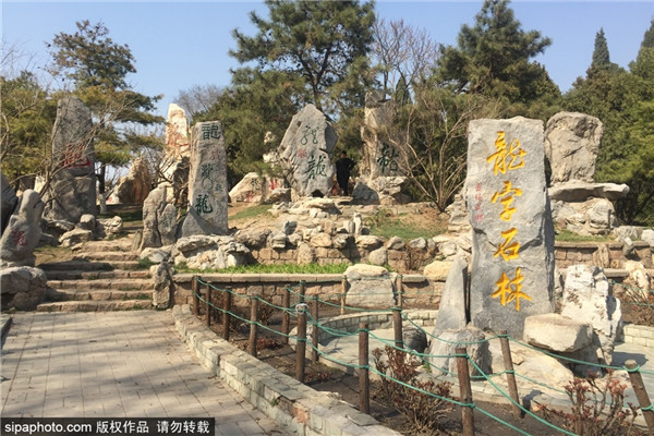 北京龙潭公园春景