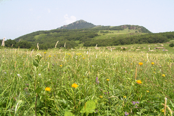 百花山自然风景区