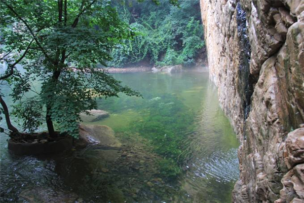 亲近自然原生态：梨木台自然风景区