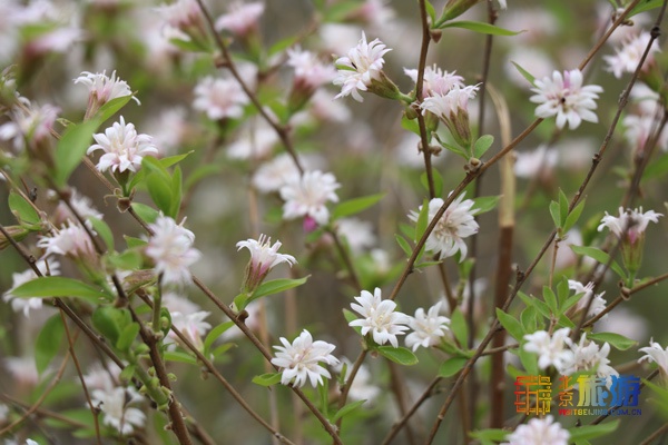 北京后花园风景区