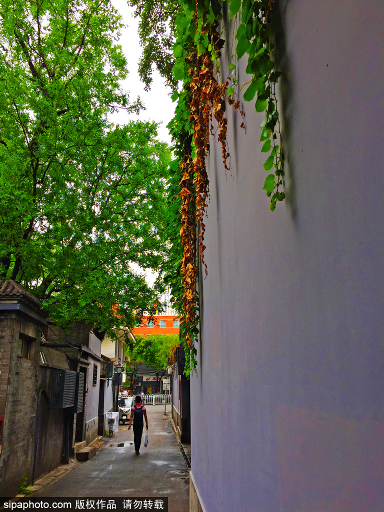 北京老胡同——雨后的街里巷道