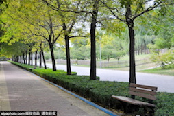 “绿毯”朝阳公园