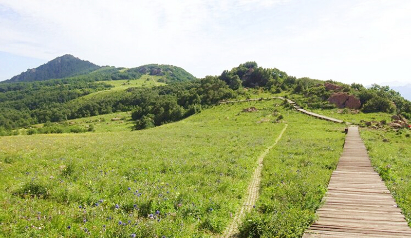 百花山景区