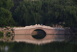 龙潭西湖公园夏景