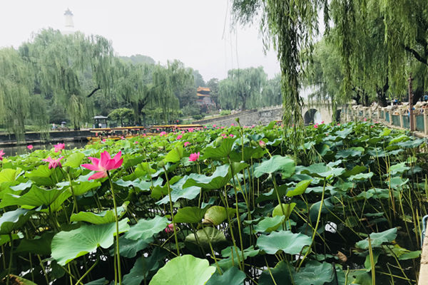 雨后迷蒙紫禁城