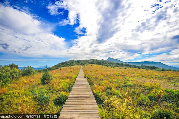 百花山步道惬意漫游