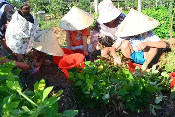 来顺义开心庄园摘葡萄挖花生