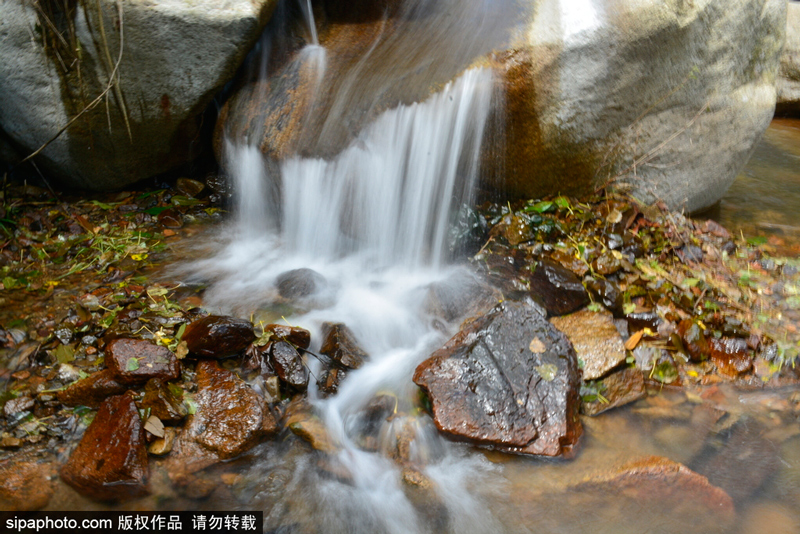 承德雾灵山泉水叮咚