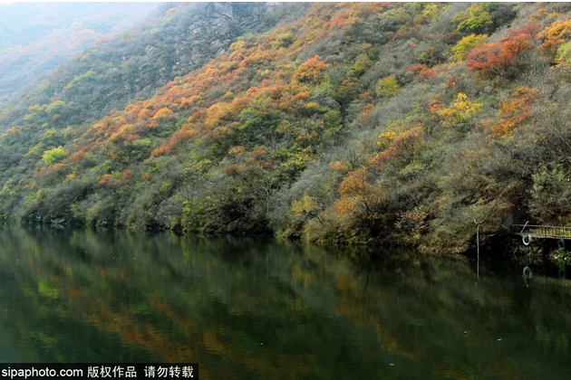 双龙峡千里红叶