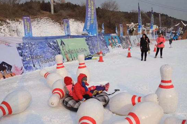 丰台区第四届欢乐冰雪季启动