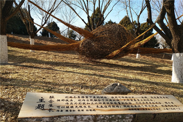 “融合生长”花卉造型