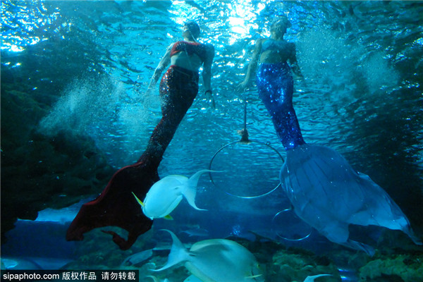北京工体富国海底世界