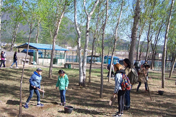 青龙峡植树基地