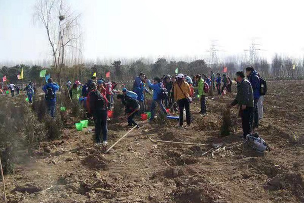 桥梓植树基地