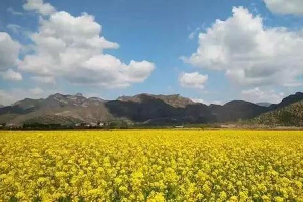 开花海景区