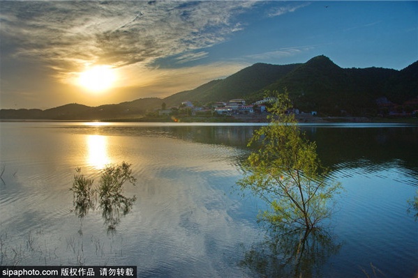 金海湖春景