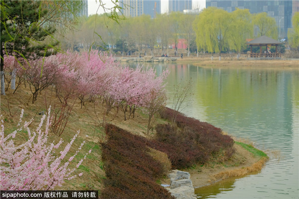 念坛公园春景