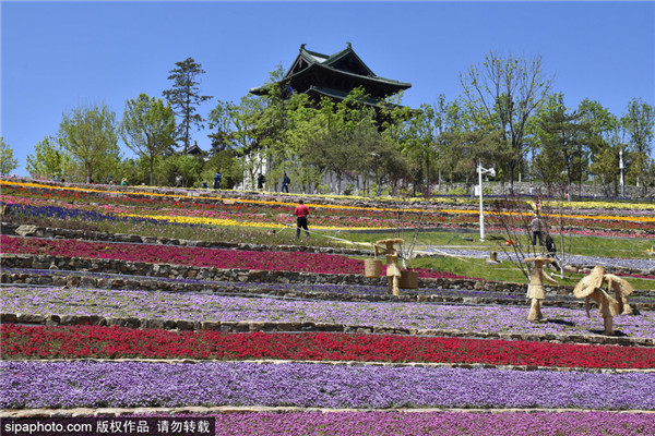 天田山永宁阁风景赛江南